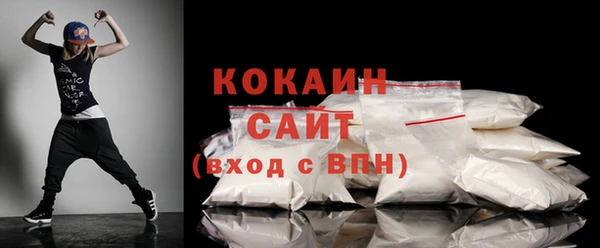твердый Няндома