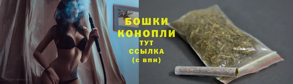 твердый Няндома