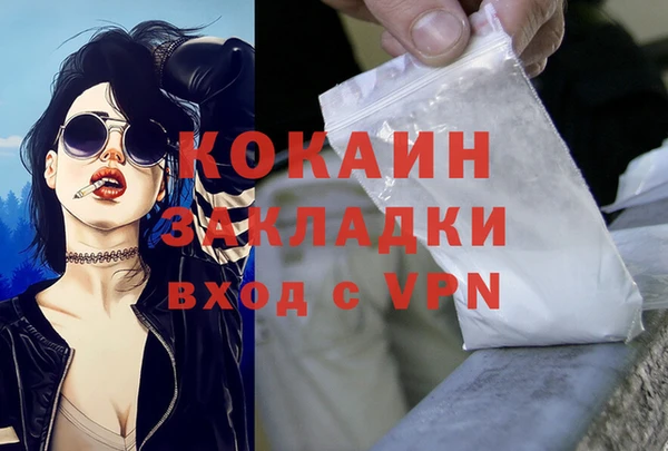 твердый Няндома