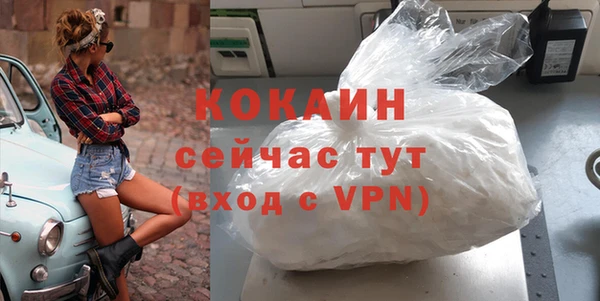 твердый Няндома