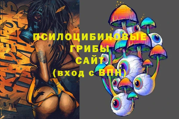тгк Билибино