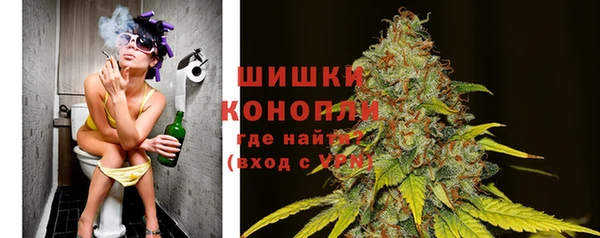 твердый Няндома