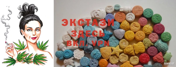 твердый Няндома