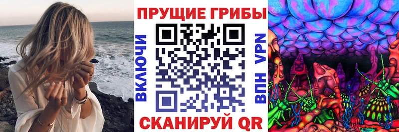 Псилоцибиновые грибы Cubensis Аркадак
