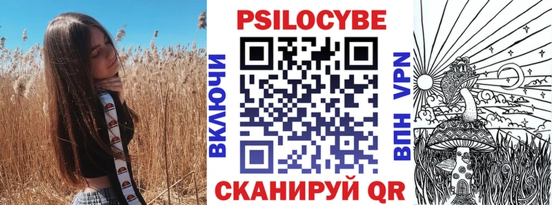 Псилоцибиновые грибы Psilocybine cubensis  Аркадак 